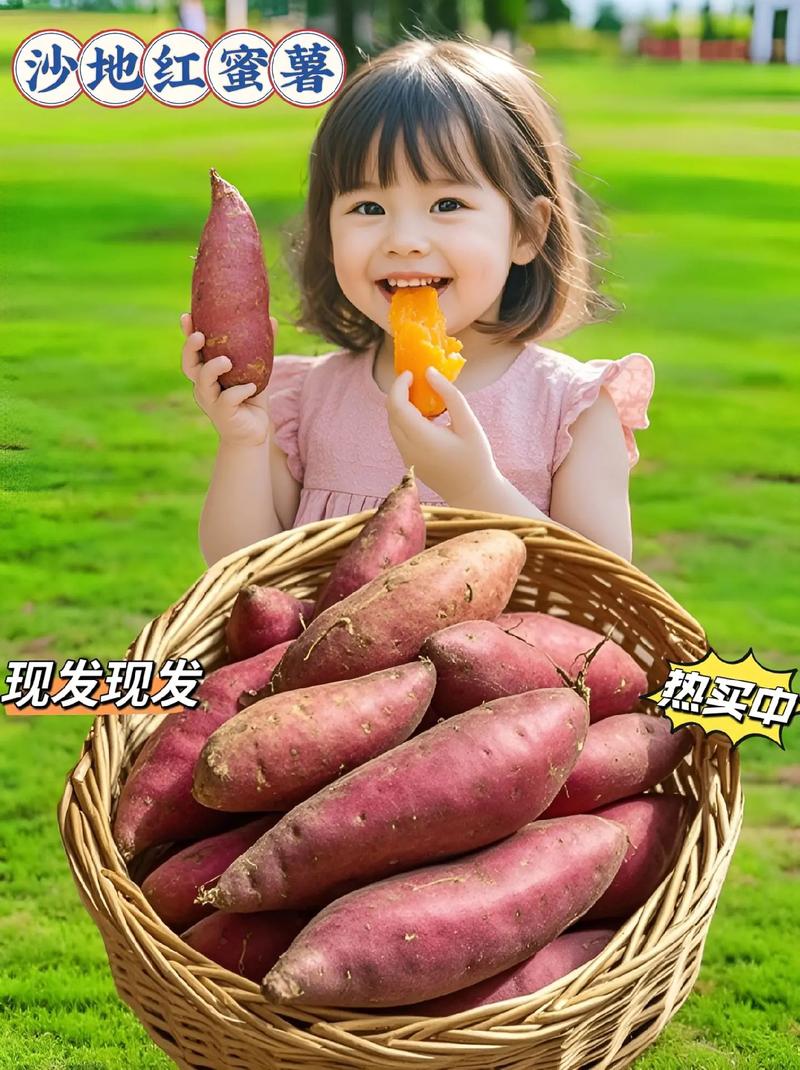 一岁宝宝能吃红薯吗？-图2