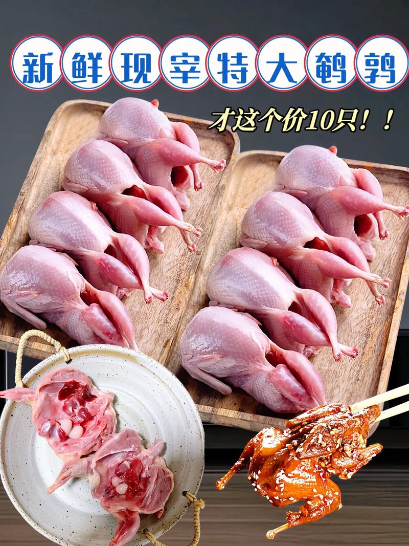 鹌鹑家常做法有哪些简单技巧？-图3