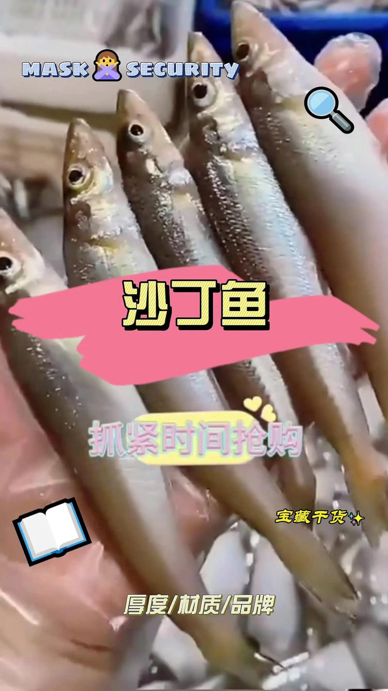 沙丁鱼家常做法有哪些?-图3 沙丁鱼家常做法有哪些?-图3