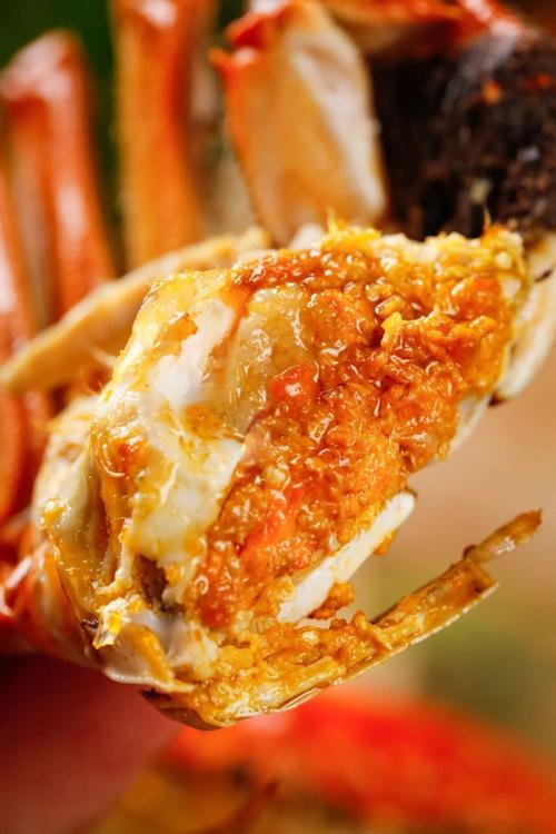 家常大闸蟹图片全家,哪种做法最诱人?-图3 家常大闸蟹图片全家,哪种做法最诱人?-图3