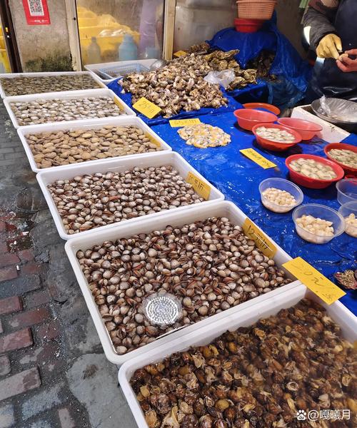 马兰广场附近海鲜市场哪里买最新鲜？-图1