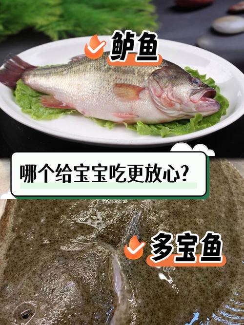 8月宝宝能吃鲈鱼吗?需注意什么?-图3 8月宝宝能吃鲈鱼吗?需注意什么?-图3