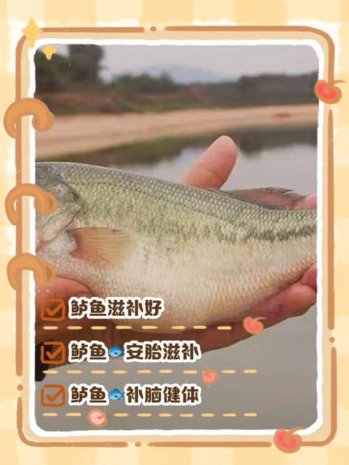 7月宝宝能吃鲈鱼吗？怎么吃才安全？-图2