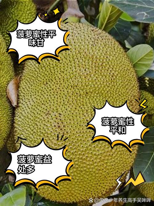 海鲜后吃菠萝蜜会相克吗？-图3