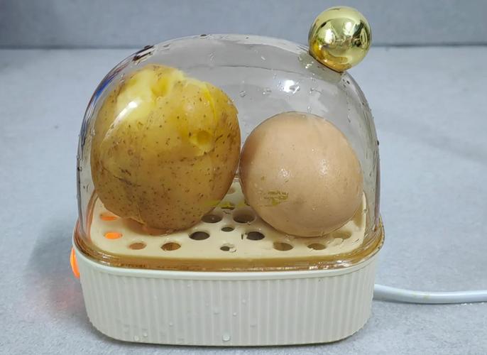 宝宝土豆蒸蛋怎么做才嫩滑？-图1