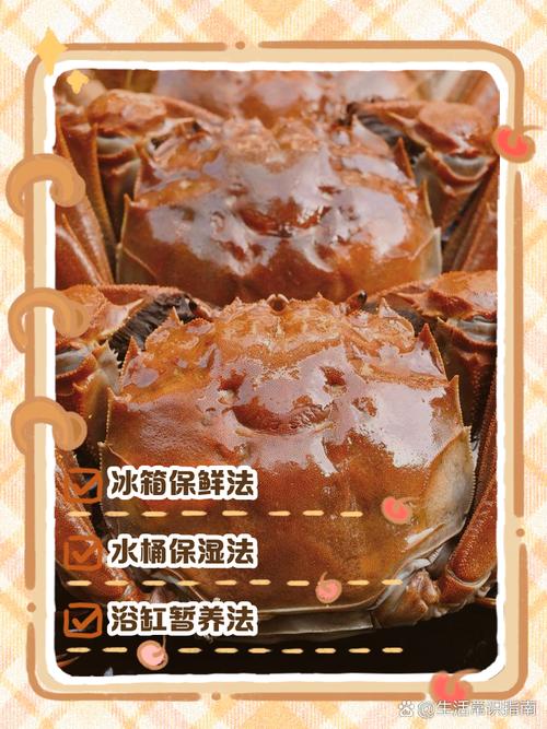 海鲜保鲜方法哪种更有效？-图2