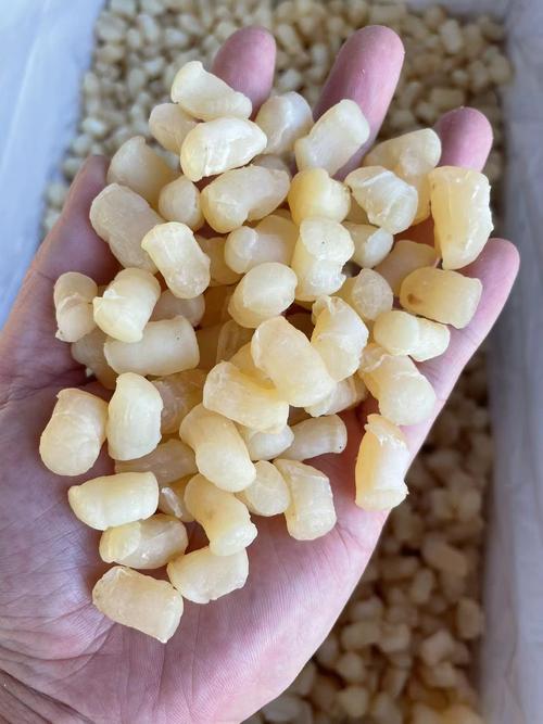 干贝是什么海鲜制作的-图3