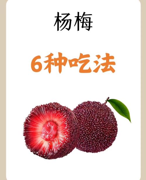 杨梅后吃海鲜会相克吗？-图3