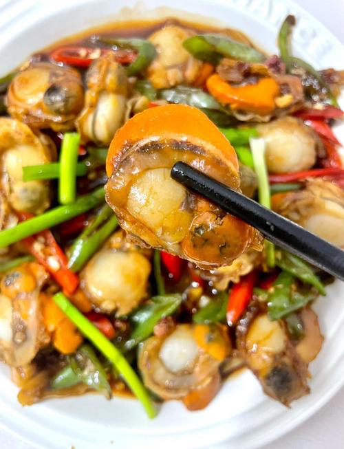 扇贝怎么做好吃?有哪些烹饪方法?-图1 扇贝怎么做好吃?有哪些烹饪方法?-图1