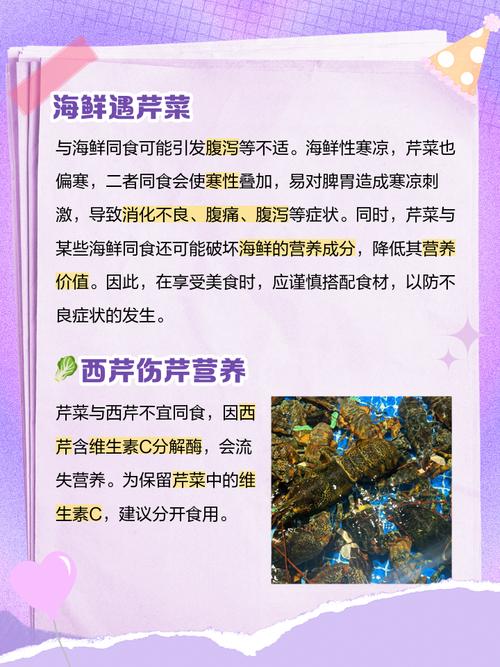 海鲜可以和芹菜同吃吗-图3 海鲜可以和芹菜同吃吗-图3