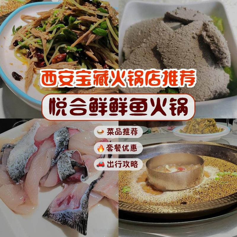 海鲜火锅鱼需腌制吗？-图3