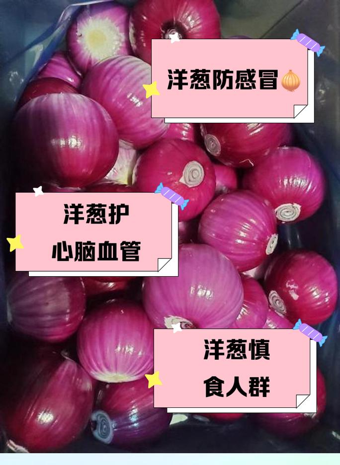 洋葱宝宝吃了什么好处-图2 洋葱宝宝吃了什么好处-图2