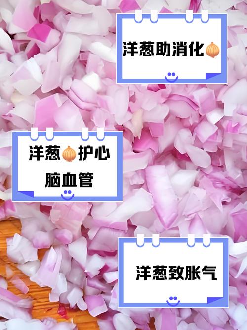 洋葱宝宝吃了什么好处-图1 洋葱宝宝吃了什么好处-图1
