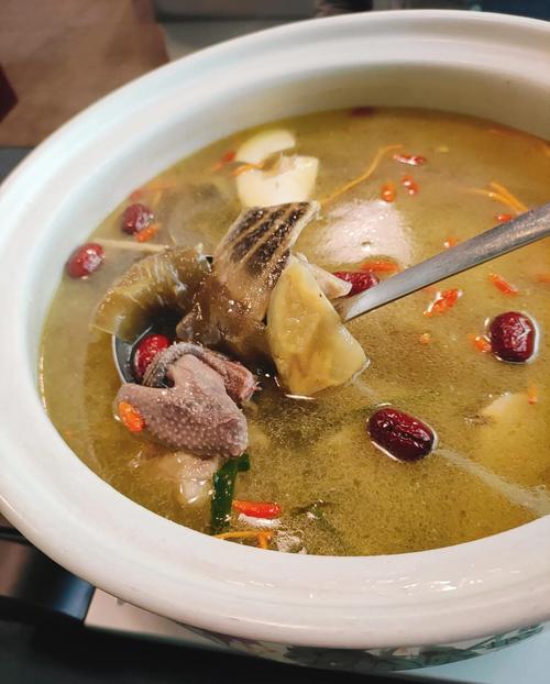 鸽子炖海鲜,加哪些更鲜?-图2 鸽子炖海鲜,加哪些更鲜?-图2