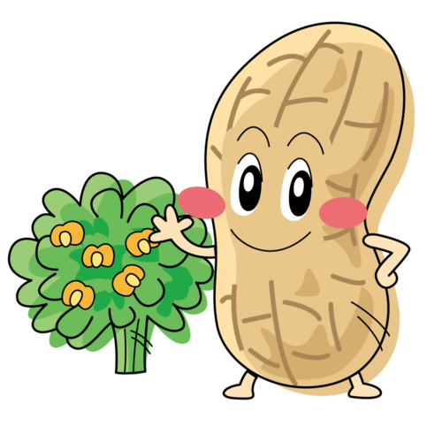 花生宝宝萌图哪里找?-图3 花生宝宝萌图哪里找?-图3