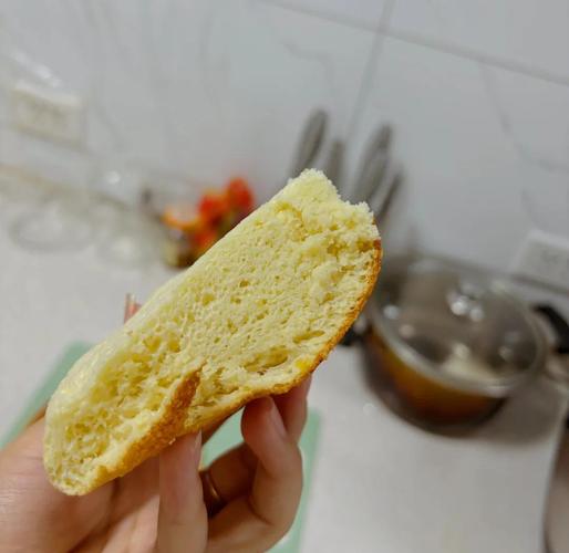 用电饭煲自制宝宝美食-图3 用电饭煲自制宝宝美食-图3