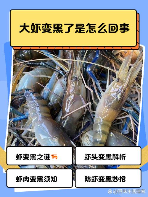 吃什么海鲜皮肤会变黑-图1