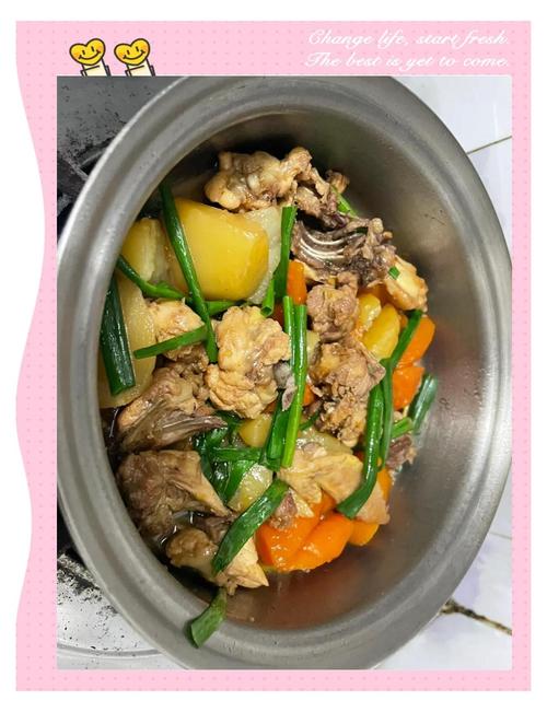 红萝卜焖鸡怎么做？家常做法有哪些？-图2