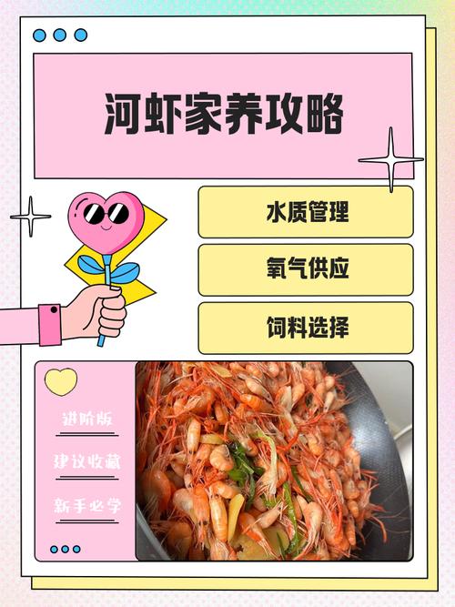 宝宝 河虾的做法大全-图2