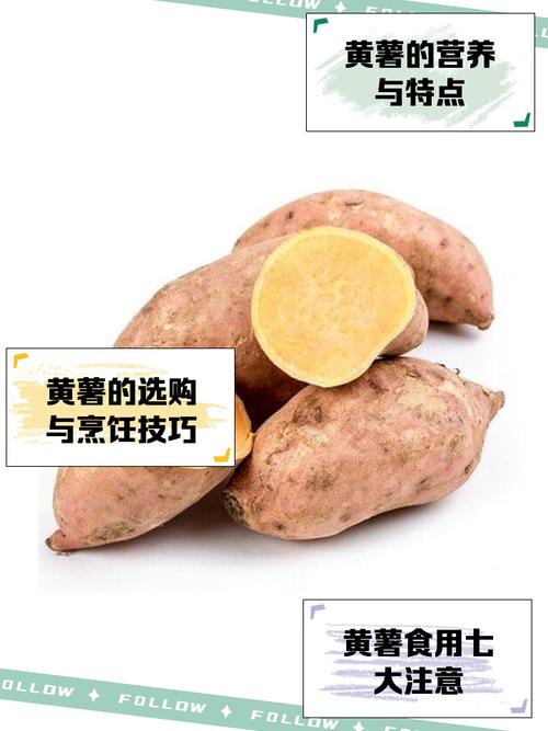 黄地瓜做法大全家常做法-图1