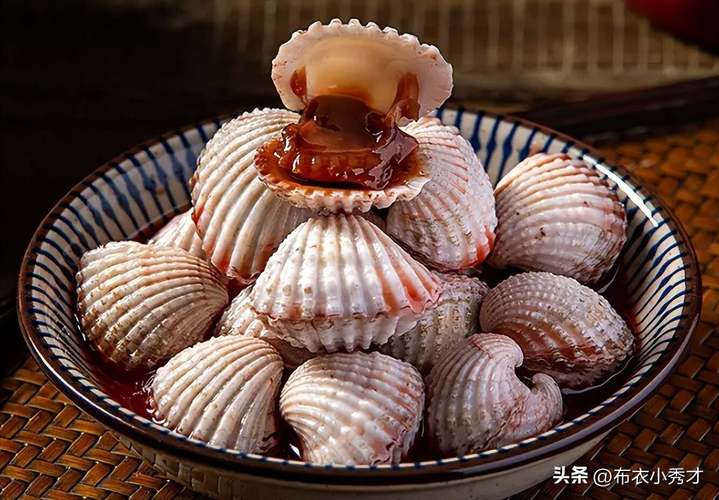 现在海鲜贝类哪些品种最值得吃?-图1 现在海鲜贝类哪些品种最值得吃?-图1