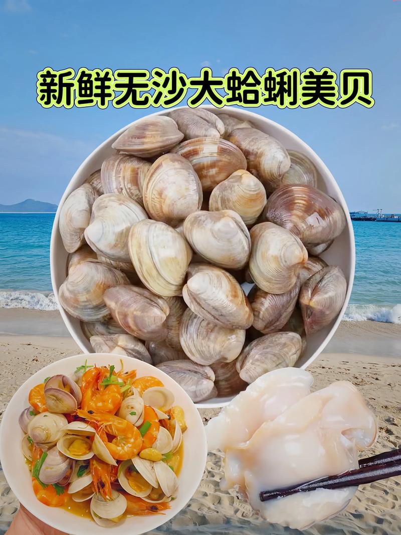 现在海鲜贝类哪些品种最值得吃?-图3 现在海鲜贝类哪些品种最值得吃?-图3