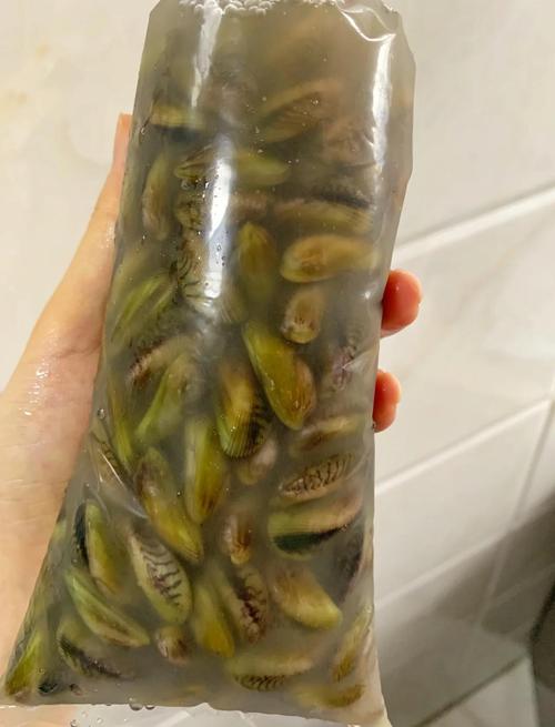 海鲜海瓜子怎么处理才干净?-图2 海鲜海瓜子怎么处理才干净?-图2