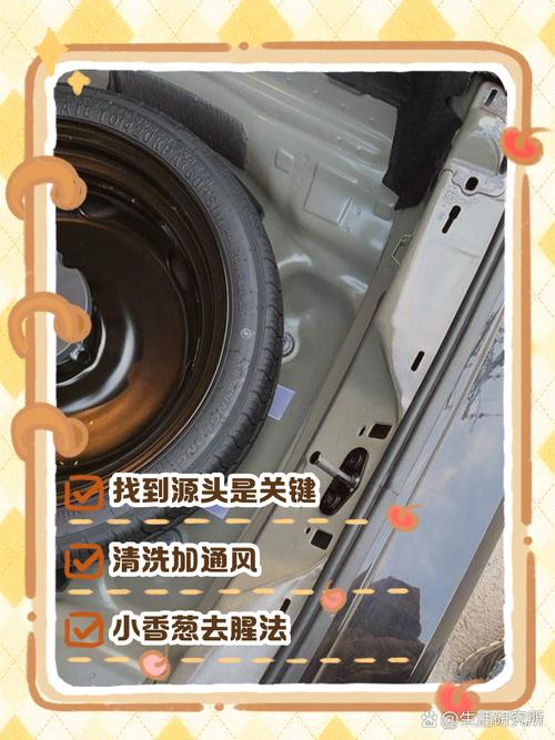 车内海鲜腥味怎么快速去除？-图3