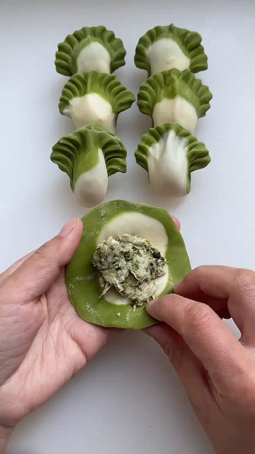 白菜海鲜包饺子,海鲜怎么处理才不腥?-图1 白菜海鲜包饺子,海鲜怎么处理才不腥?-图1