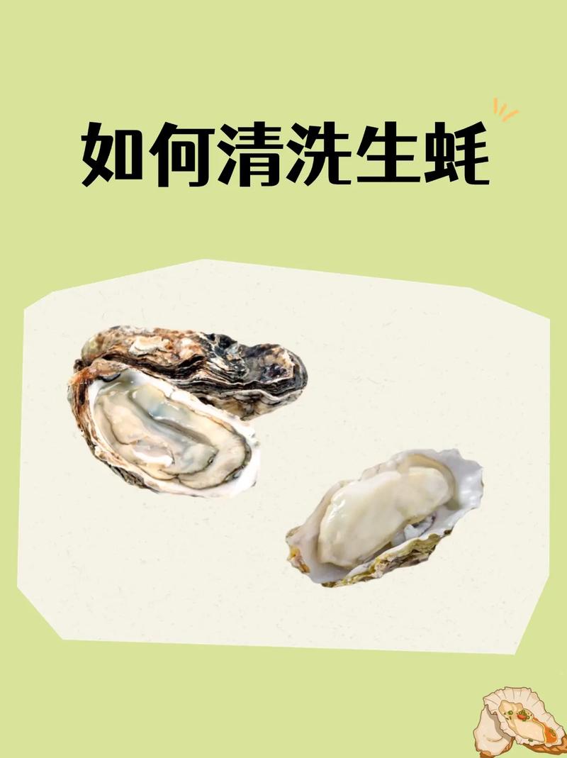 海鲜清洗保存有必要吗?-图1 海鲜清洗保存有必要吗?-图1