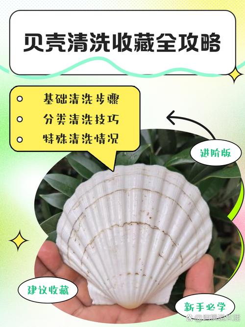 海鲜清洗保存有必要吗?-图2 海鲜清洗保存有必要吗?-图2