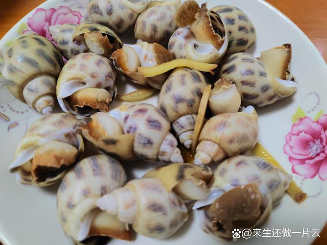 豆芽炖海鲜怎么做好吃又入味？-图1