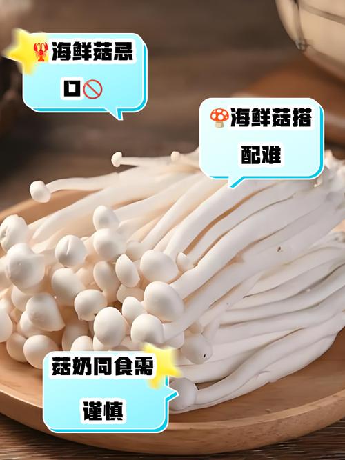 用海鲜菇撰写优美句子-图3 用海鲜菇撰写优美句子-图3