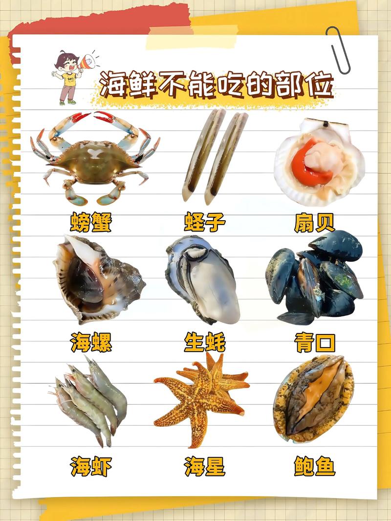 海鲜别搭哪些蔬菜?-图1 海鲜别搭哪些蔬菜?-图1