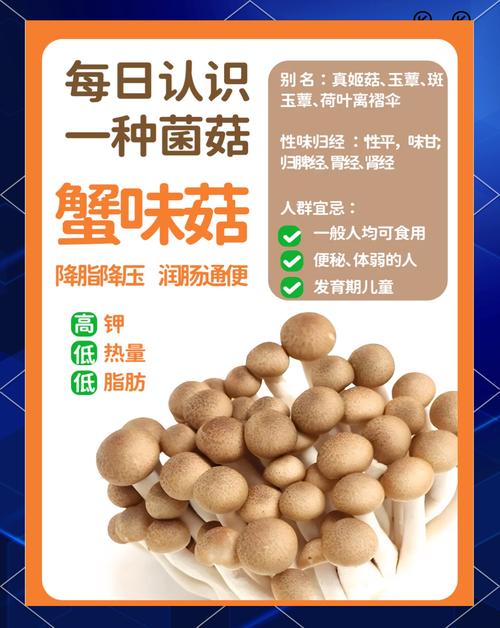 海鲜菇吃了对身体有什么好处?-图1 海鲜菇吃了对身体有什么好处?-图1