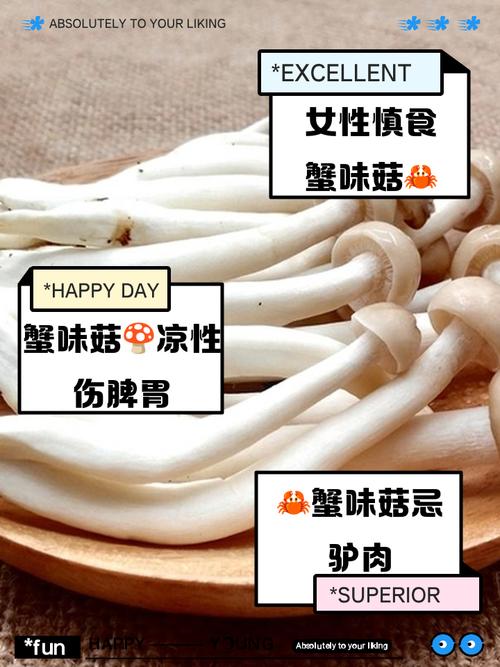海鲜菇吃了对身体有什么好处?-图2 海鲜菇吃了对身体有什么好处?-图2