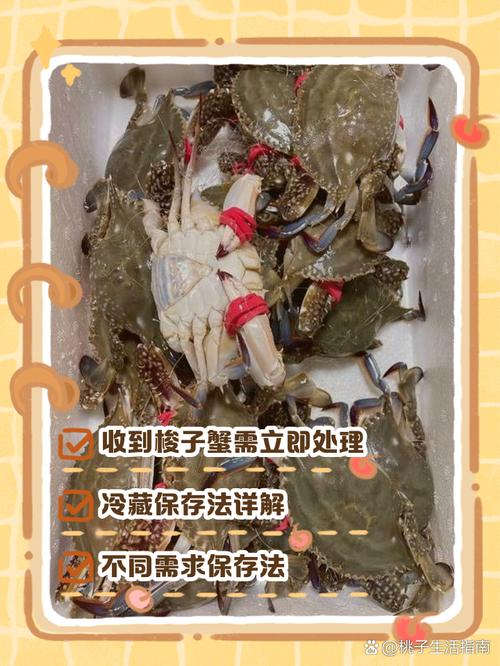 活海鲜吃不完怎么保鲜保存?-图1 活海鲜吃不完怎么保鲜保存?-图1
