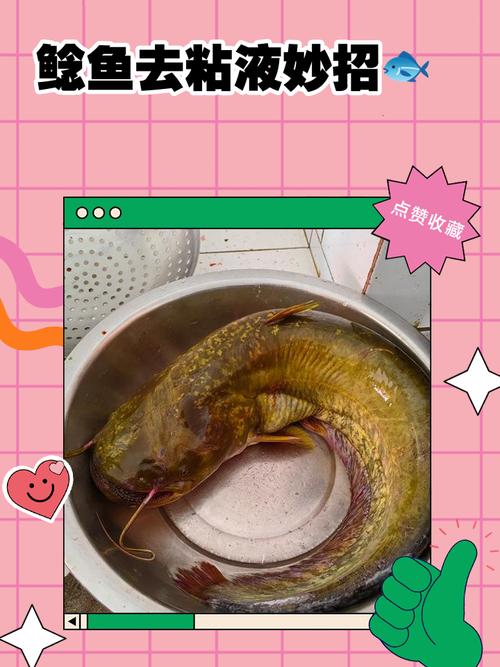 鲶鱼宝宝怎么做？视频做法大全来了！-图2