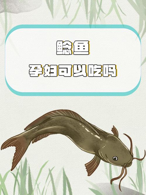 鲶鱼宝宝怎么做？视频做法大全来了！-图3