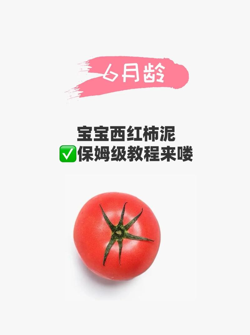 宝宝辅食怎么加西红柿?-图1 宝宝辅食怎么加西红柿?-图1