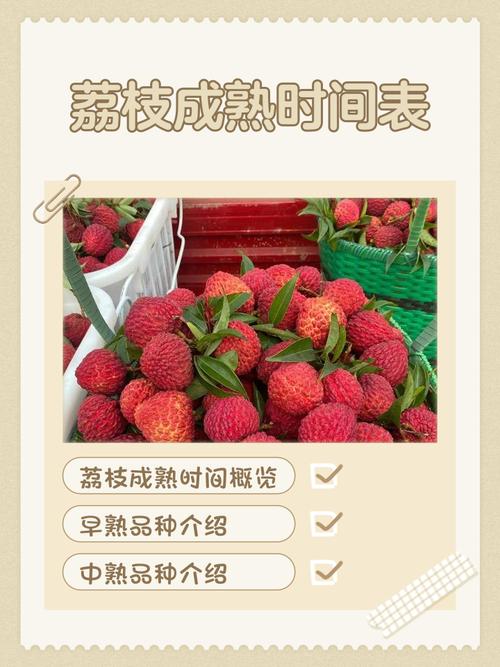 荔枝后多久吃海鲜才安全?-图1 荔枝后多久吃海鲜才安全?-图1