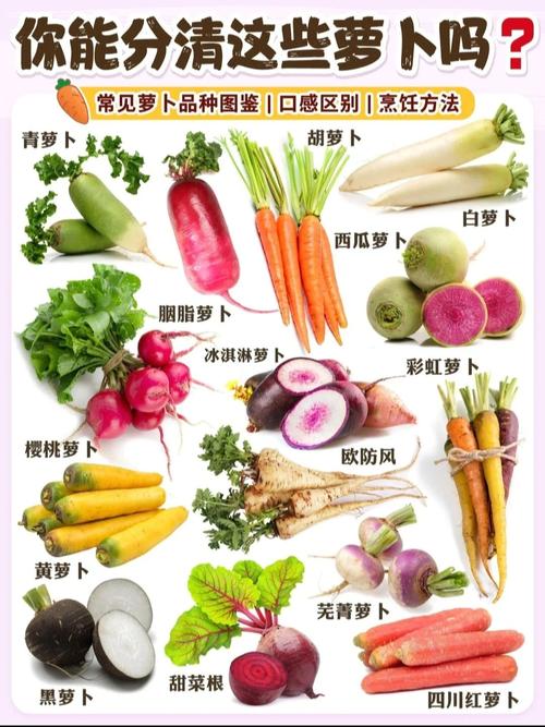 海鲜生萝卜同食会中毒吗?-图3 海鲜生萝卜同食会中毒吗?-图3