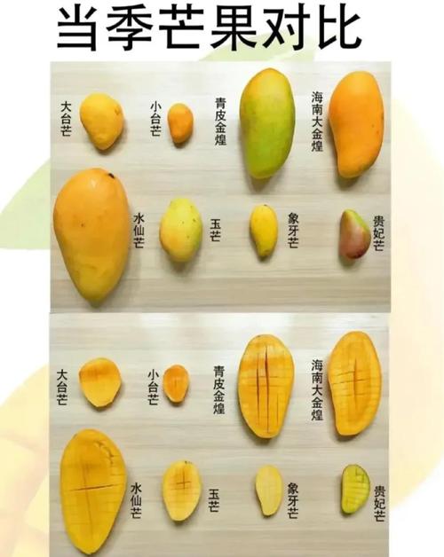 芒果和海鲜同食需间隔多久？-图2