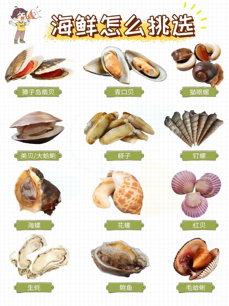 海鲜种类名字大全,有哪些常见与罕见?-图1 海鲜种类名字大全,有哪些常见与罕见?-图1