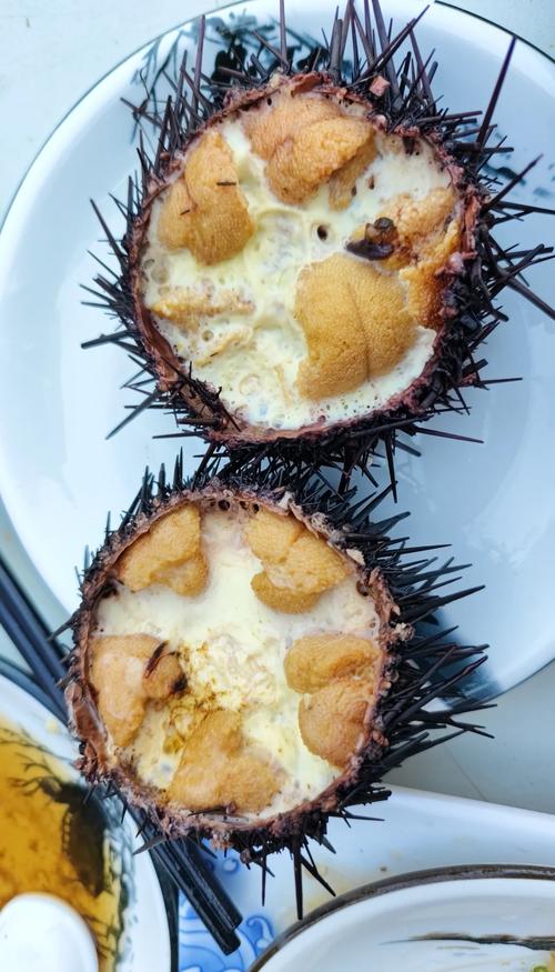 南京哪家的海鲜馆能吃到新鲜海胆？-图3