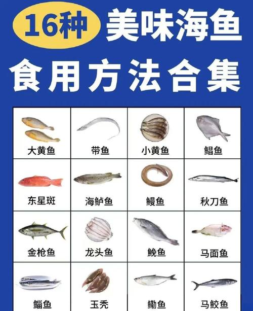 海鲜名字图片多,如何快速认全?-图1 海鲜名字图片多,如何快速认全?-图1