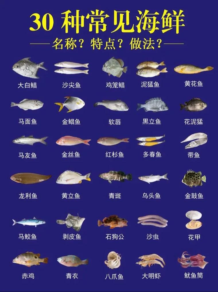 海鲜名字图片多,如何快速认全?-图2 海鲜名字图片多,如何快速认全?-图2