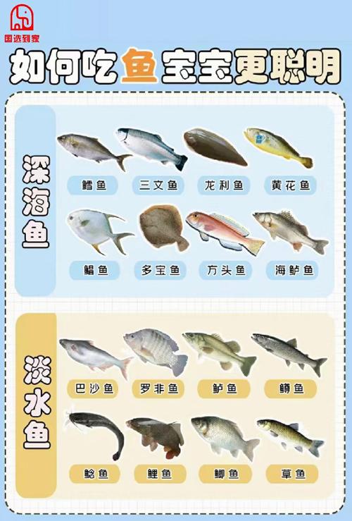 宝宝 可以比目鱼鱼吗-图2 宝宝 可以比目鱼鱼吗-图2