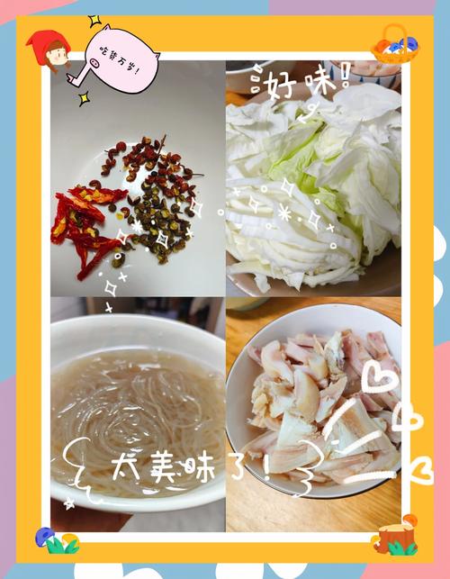 羊肉炖粉家常做法有哪些？-图2