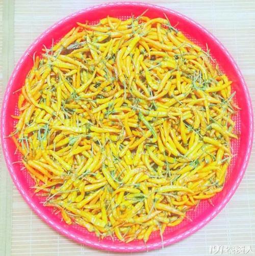 黄辣椒家常做法有哪些?-图2 黄辣椒家常做法有哪些?-图2